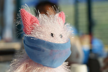 stuffed cat with mask for coronavirus protection